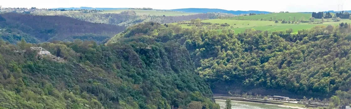 Day tour to the Rhine Valley from Frankfurt