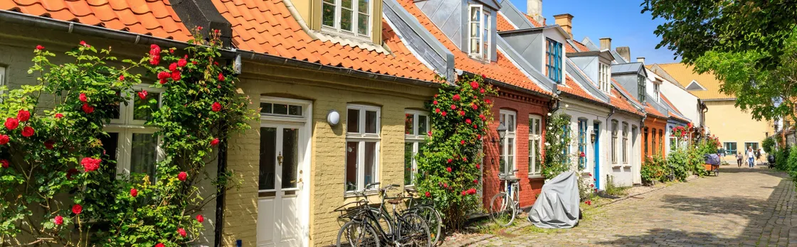 Introductory walking tour of Aarhus with a local