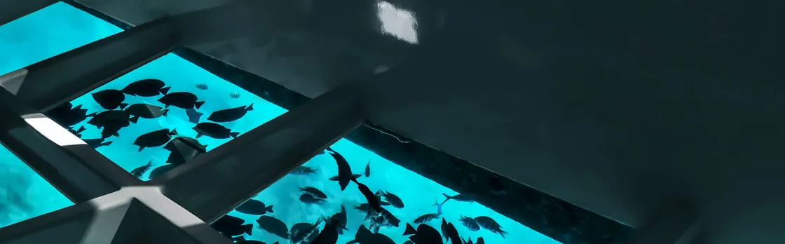 Coral viewing glass bottom-boat tour in Aqaba with open buffet