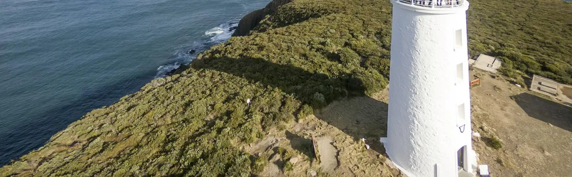 Bruny Island safaris, local food tasting and lighthouse tour