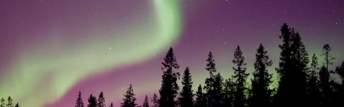 Northern Lights nature tour by car