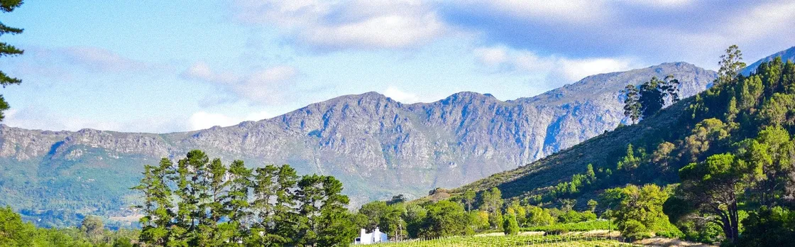 Half-day private experience at Groot Constantia