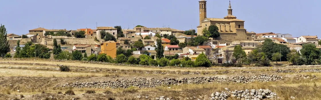 Full-day wine tour and visit to Goya's birthplace