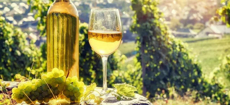 Alsace full-day shared wine tour from Colmar