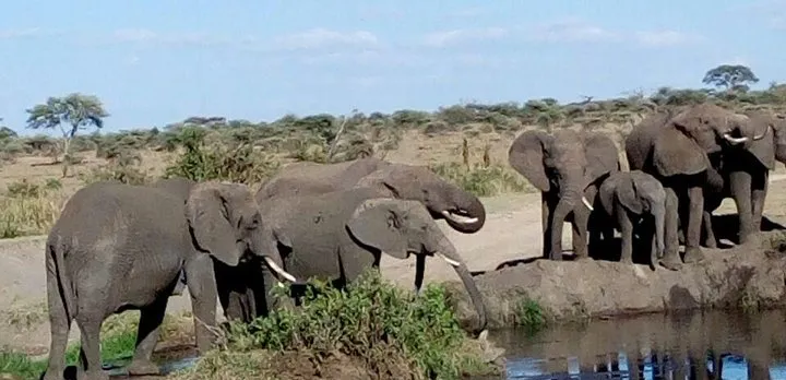 6-Day Nature and Beyond Safari