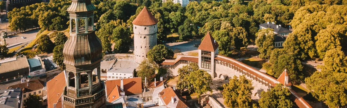 Explore Tallinn's photogenic highlights with a local