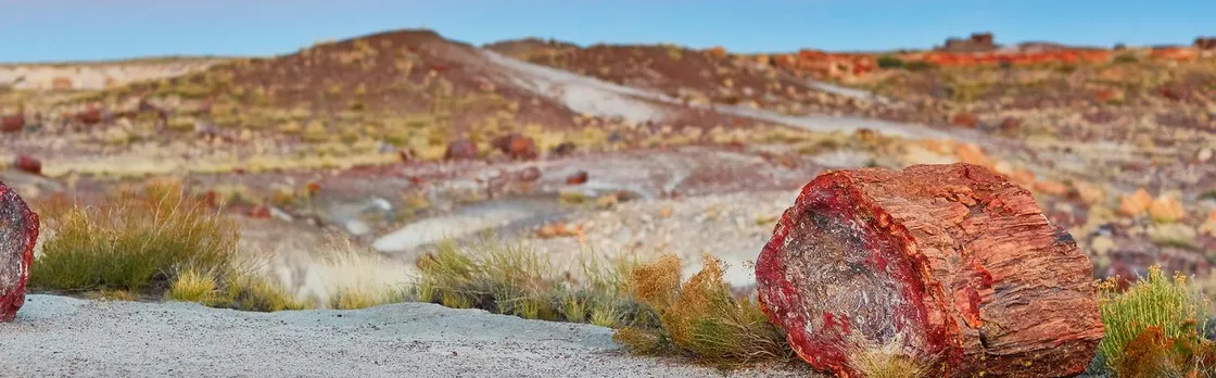 Self-Guided Driving Tour of Petrified Forest National Park