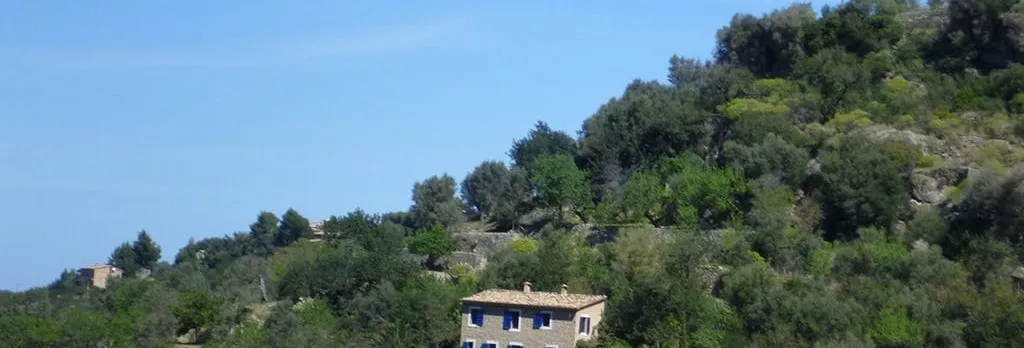 Majorca countryside voyage of discovery