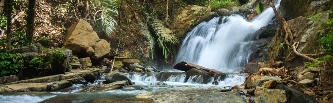 Full-day Khao Lak off-road Safari
