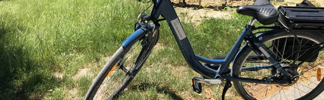 Full-day E-bike Tour in Champagne with Lunch