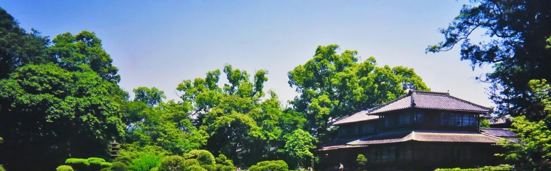 Yatsushiro private tour with Yatsushiro Shrine and Shohinken