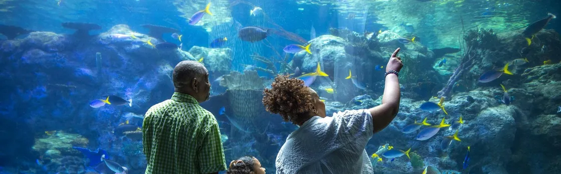 Aquarium of the Pacific Tickets