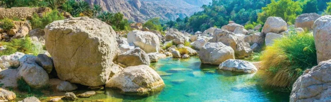 Discover the South and Wadi Shab