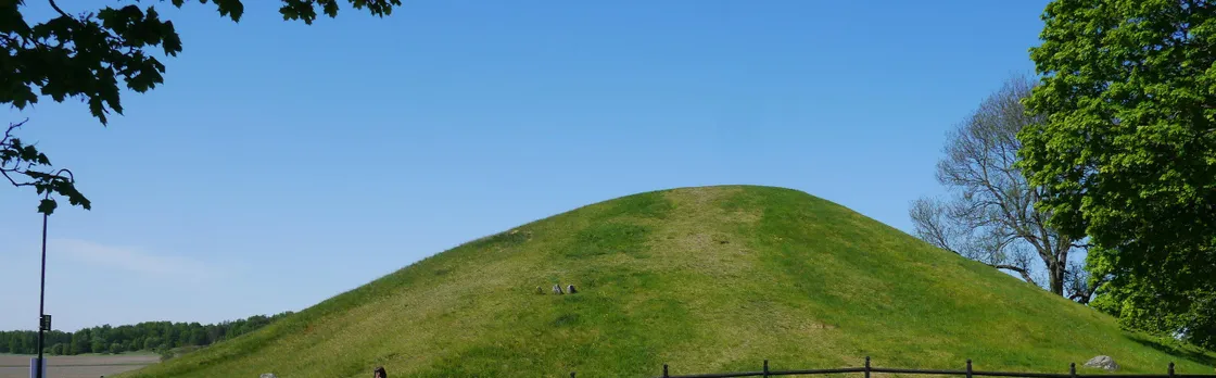 Guided Viking and vendel era walking tour in historic Uppsala