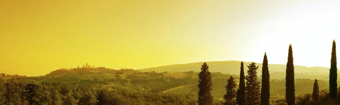 Sunset Wine Tour from Siena to Chianti with Dinner