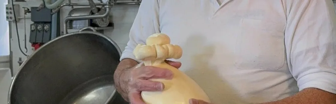 Visit to Masseria Cappella with mozzarella and bread making workshop