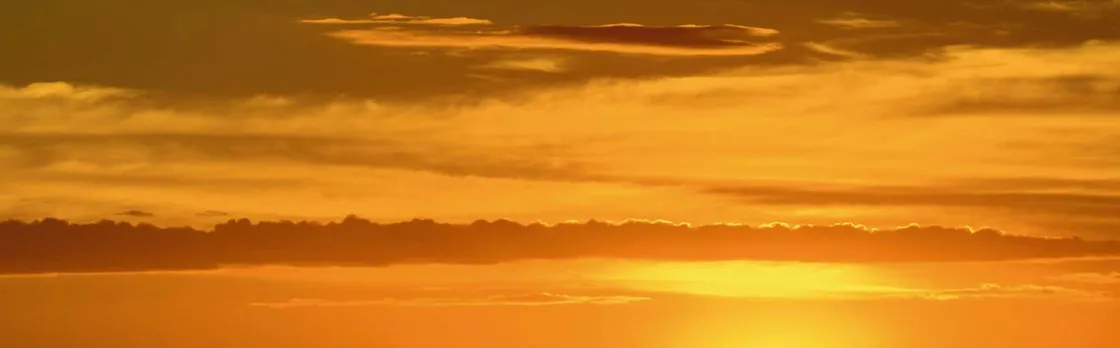 Pura vida sunset cruise
