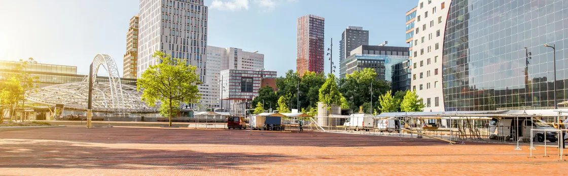 Rotterdam highlights 3-hour bike tour