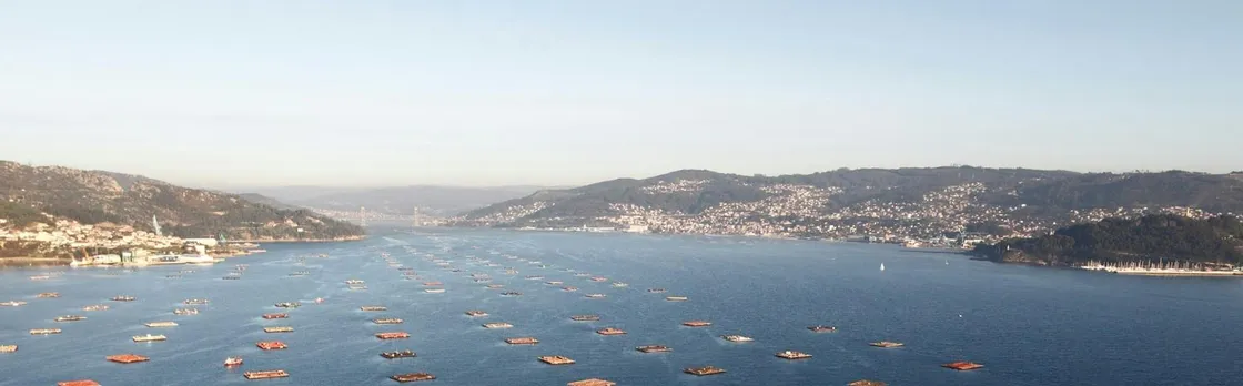 Vigo estuary tour with mussel tasting and wine from Cangas