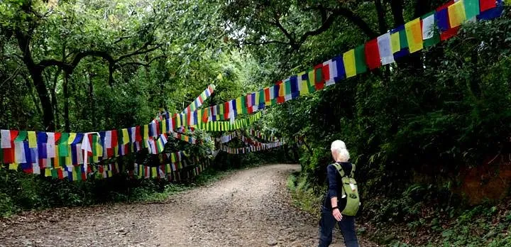 Godavari to Fulchoki Day Hike Near Kathmandu