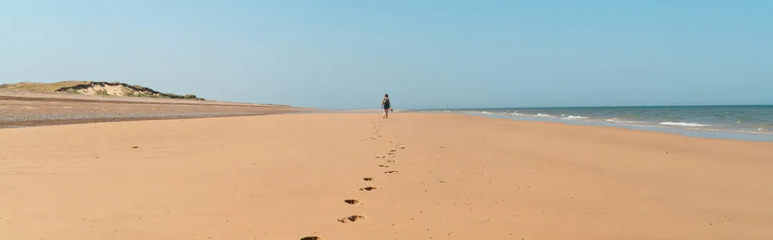 Norfolk Tour App & Game
