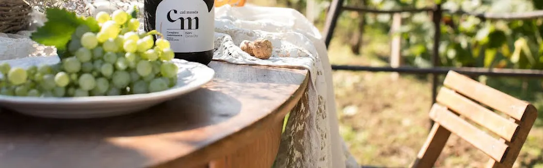 Wine Tasting Tour in Prosecco Hills in Veneto