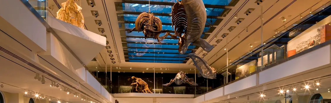 Natural History Museum of Los Angeles tickets