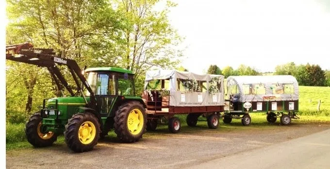 Vineyard tour in covered wagon with wine tasting near Stuttgart