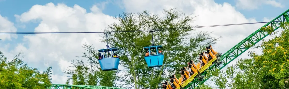 Busch Gardens® Tampa Bay 1-day admission tickets
