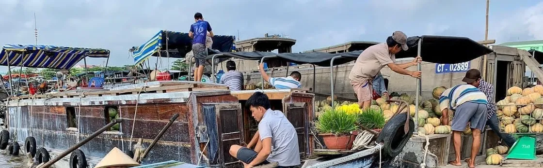 Full-day Cai Rang and Mekong Delta guided private tour