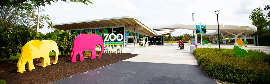 Miami Zoo tickets with transportation