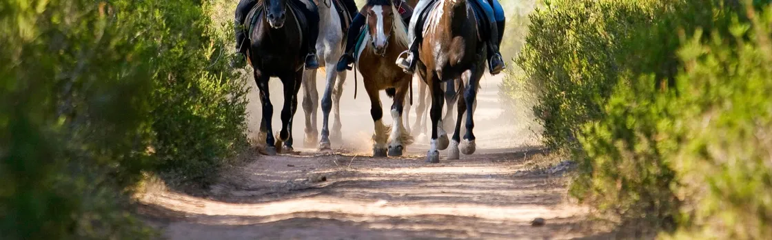 Menorca’s Camí de Cavalls coastal horse-riding tour