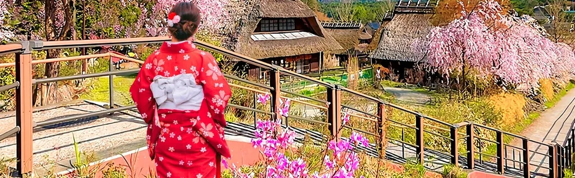 Mount Fuji top 4 must-visit attractions full day tour from Tokyo