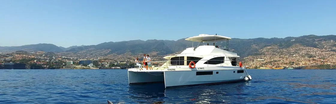 Madeira VIP Whale & Dolphin Watching Cruise