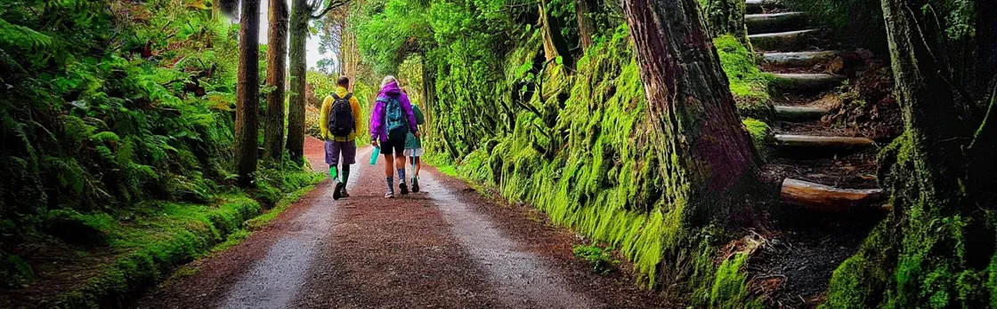 Sete Cidades Full-Day Hiking Experience