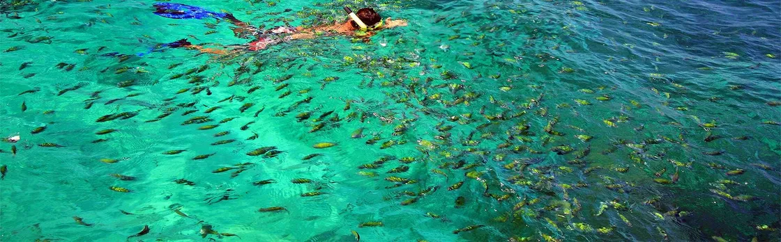 Speedboat tour of the Phi Phi Islands