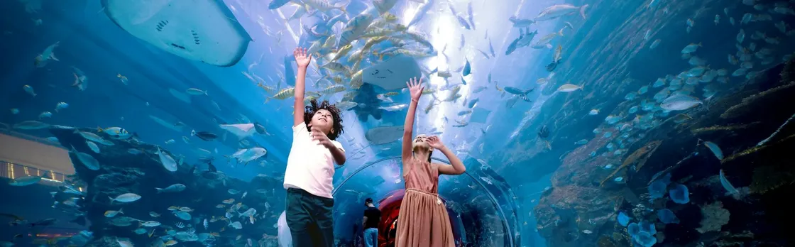 Burj Khalifa floors 124, 125 and Dubai Aquarium tickets