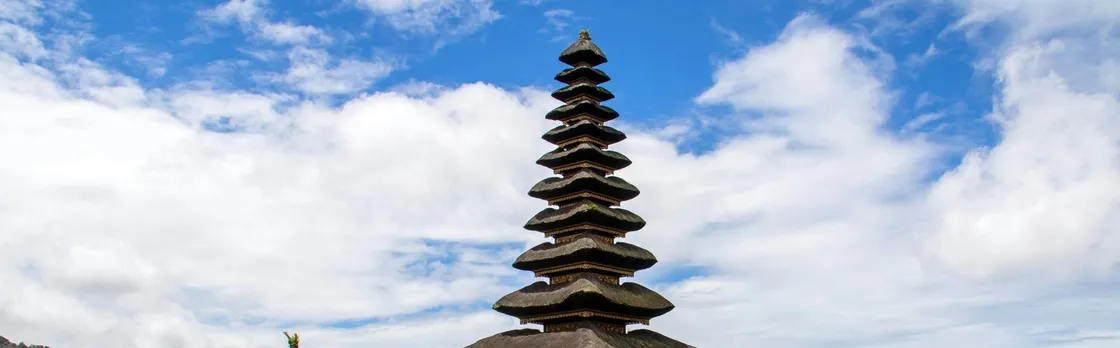 Bali guided tour with Jatiluwih rice terraces and optional lunch