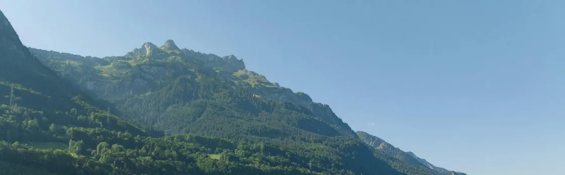 Day ticket for unlimited boat rides on Lake Brienz