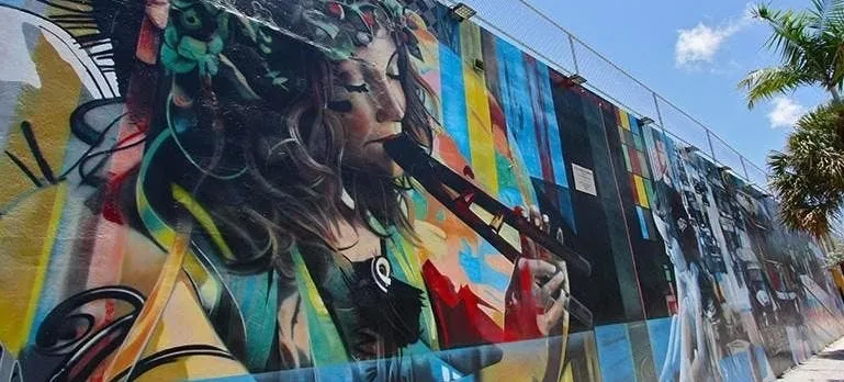 Best of Wynwood street art walking tour