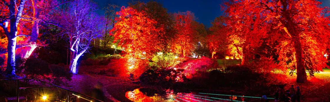 Admire the autumn lights at Sofiero Park