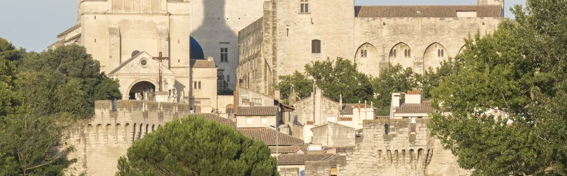 Walking Tour of Avignon and Popes' Palace