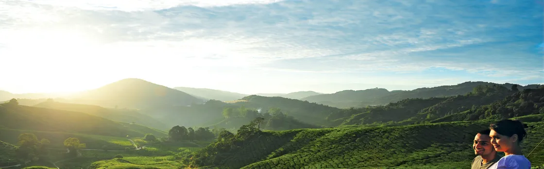 Private nature trip to Cameron Highlands from Kuala Lumpur
