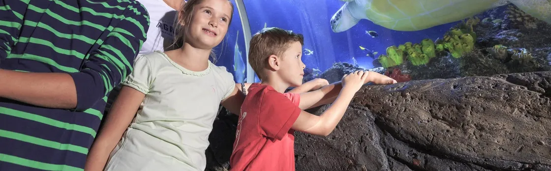 Entrance tickets to Timmendorfer Sea Life aquarium