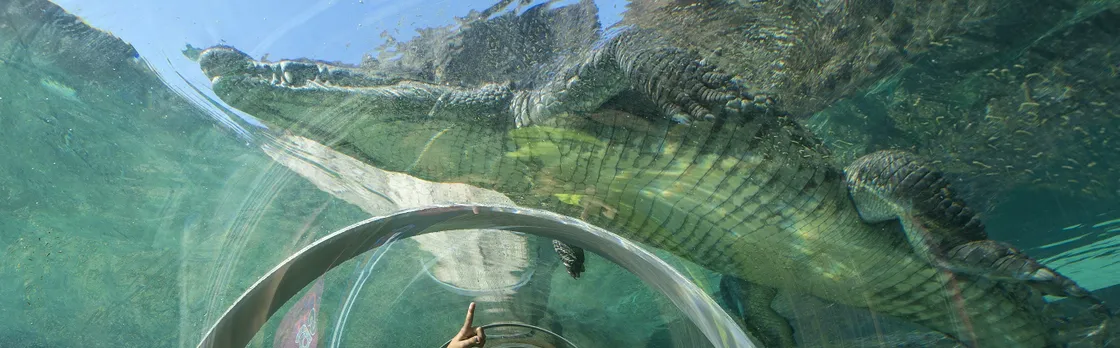 Zoo Miami general admission tickets or food package