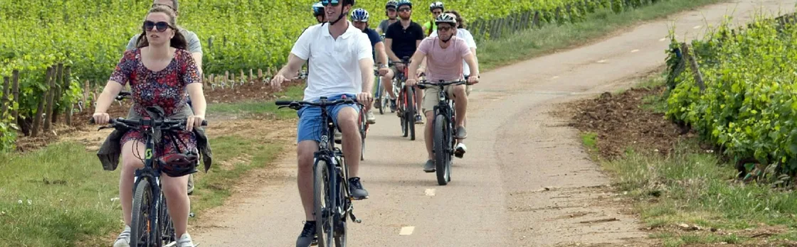 Bike and wine day tour in Burgundy's Côte de Beaune