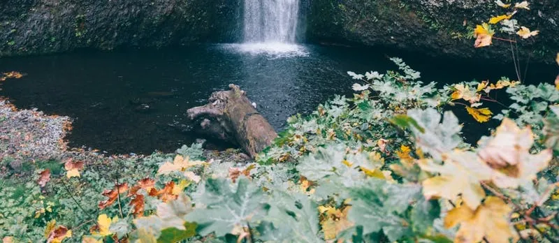 Afternoon half-day to Multnomah Falls and River Gorge Waterfalls