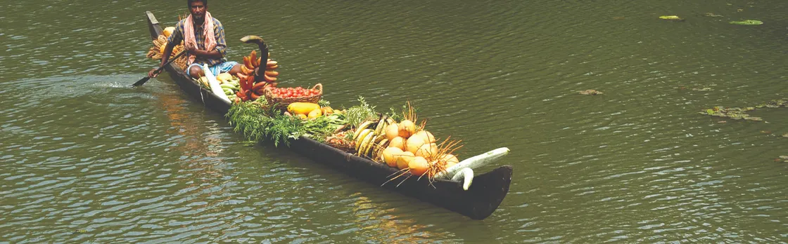 Coastal Serenity: Backwaters, Tea Estates & Marari Beach