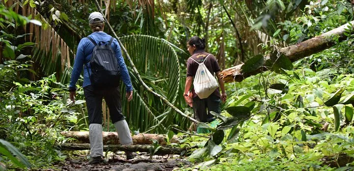 Sinharaja Rain Forest Tour from Hambantota