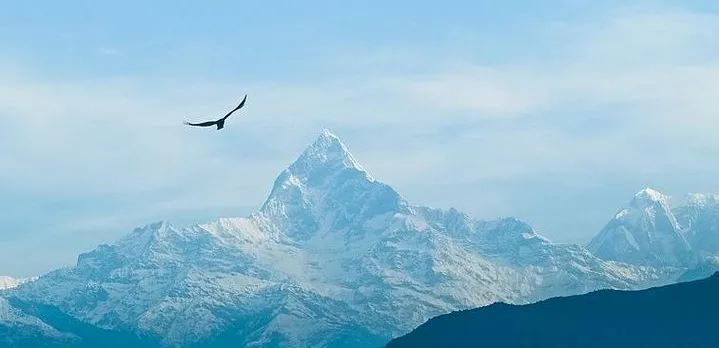 Private Half day Pokhara sightseeing